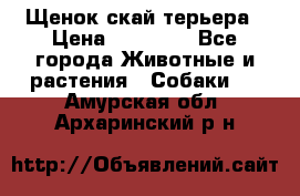 Щенок скай терьера › Цена ­ 20 000 - Все города Животные и растения » Собаки   . Амурская обл.,Архаринский р-н